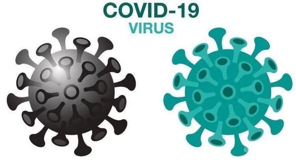 Novel Coronavirus