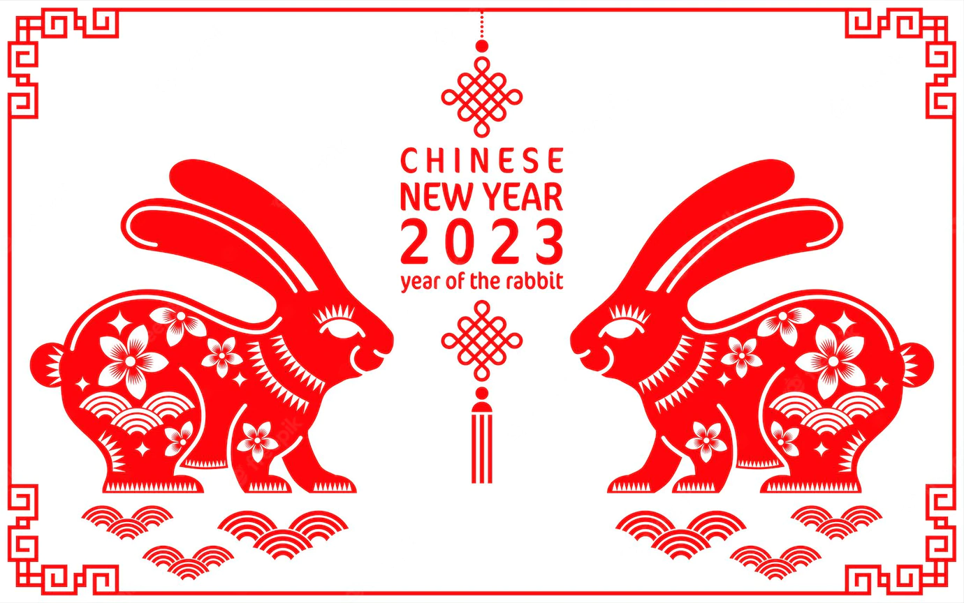 Chinese New Year Activities of Rabbit
