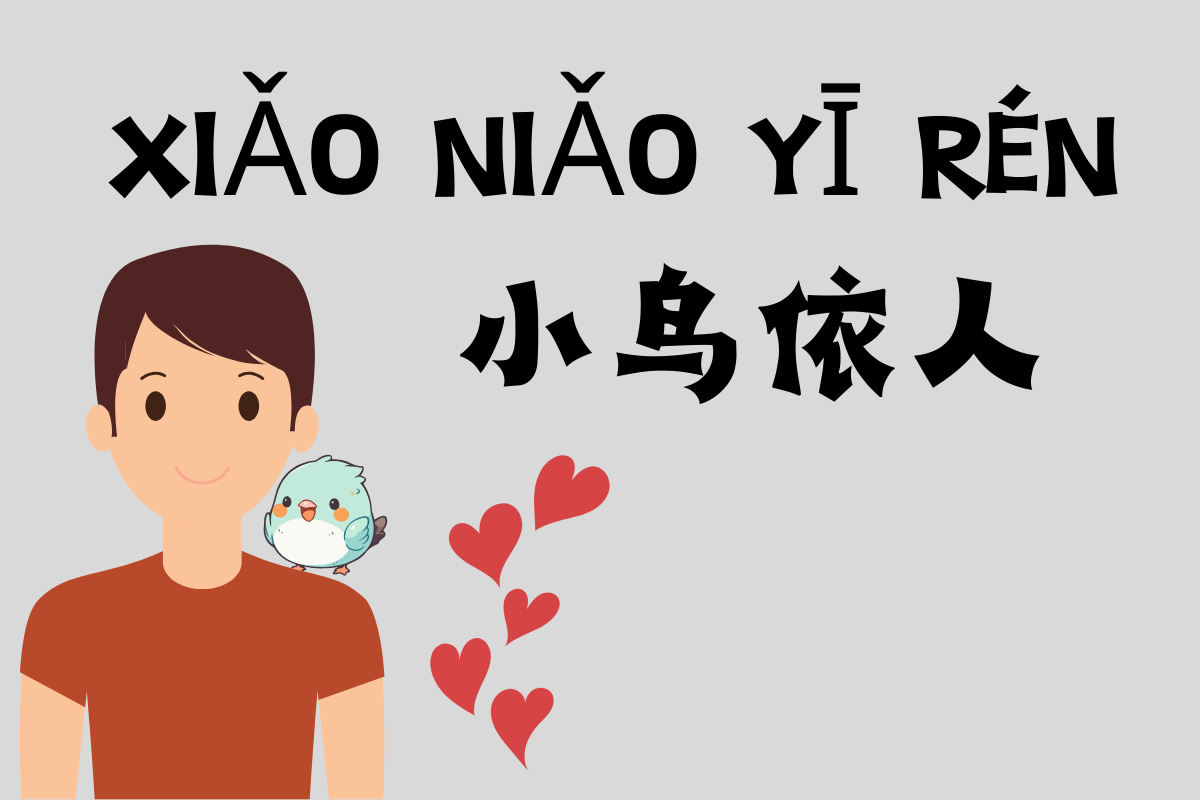 A Bird's Trust: An Endearing Connection-小鸟依人 (xiǎo niǎo yī rén)