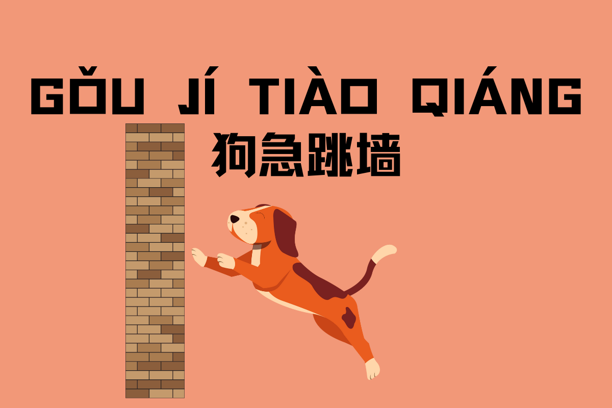 A Desperate Dog Leaps the Wall-狗急跳墙 (gǒu jí tiào qiáng)