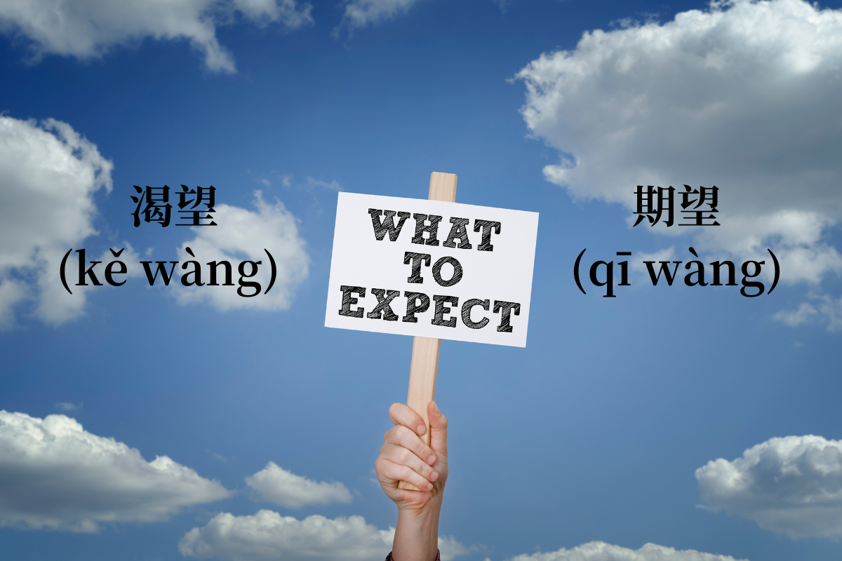 HSK Words: 渴望 (kě wàng) VS 期望 (qī wàng)