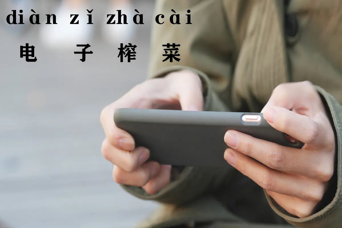 The Electronic Pickled Radishes: diàn zǐ zhà cài (Internet Slang)