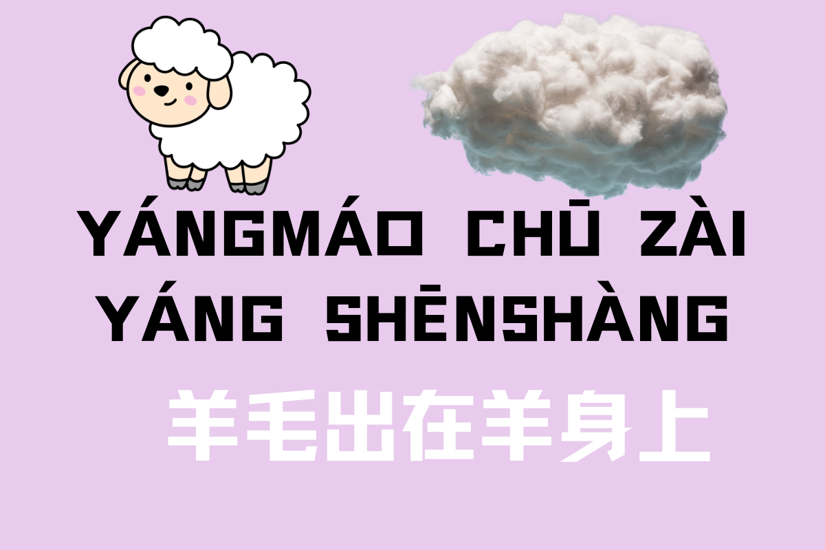 The Wool in the Sheep-羊毛出在羊身上(yáng máo chū zài yáng shēn shàng)