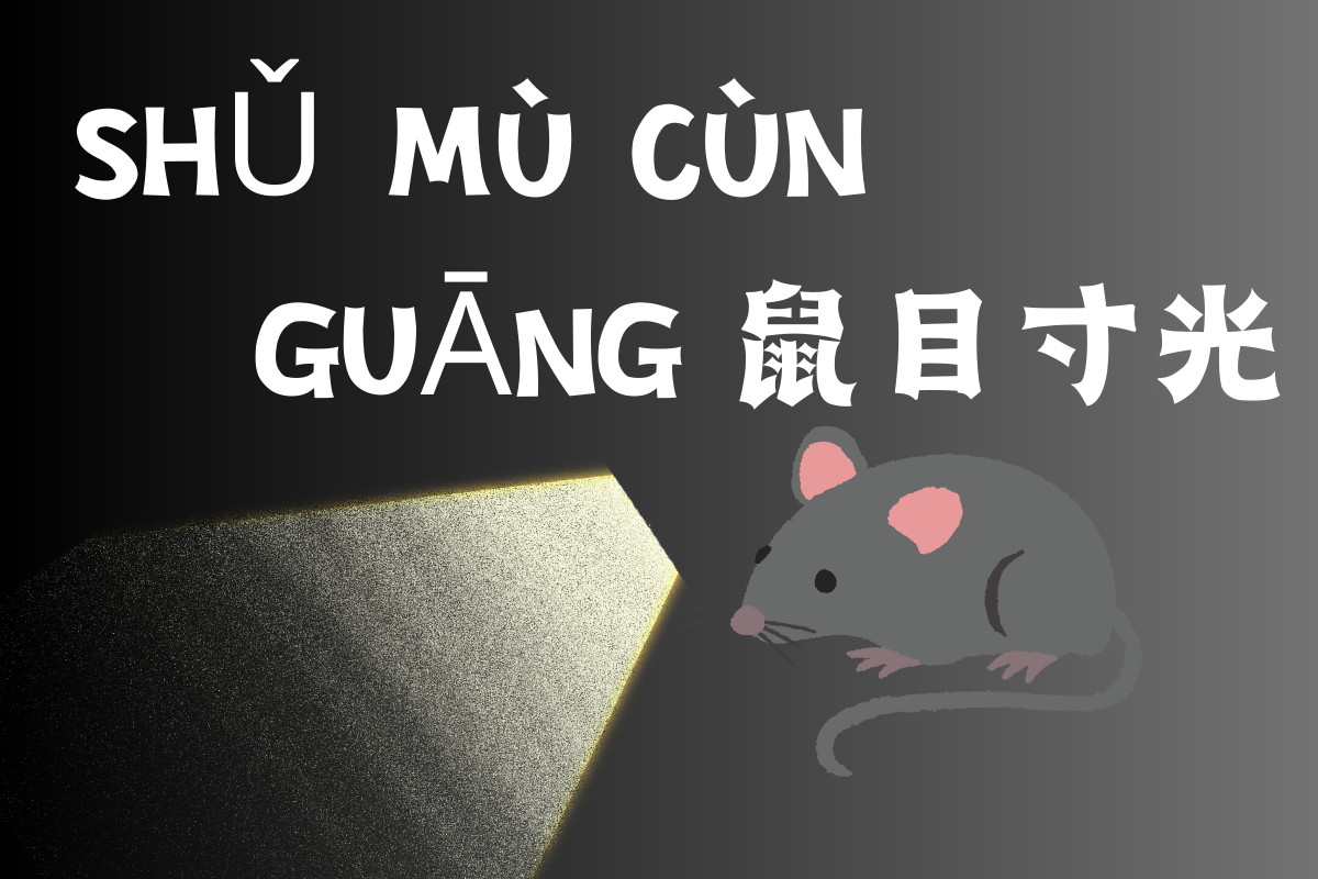 Shortsighted Perspective: A Mouse's View-鼠目寸光 (shǔ mù cùn guāng)
