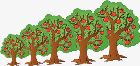 Chinese song-Apple tree-ping guo shu-苹果树
