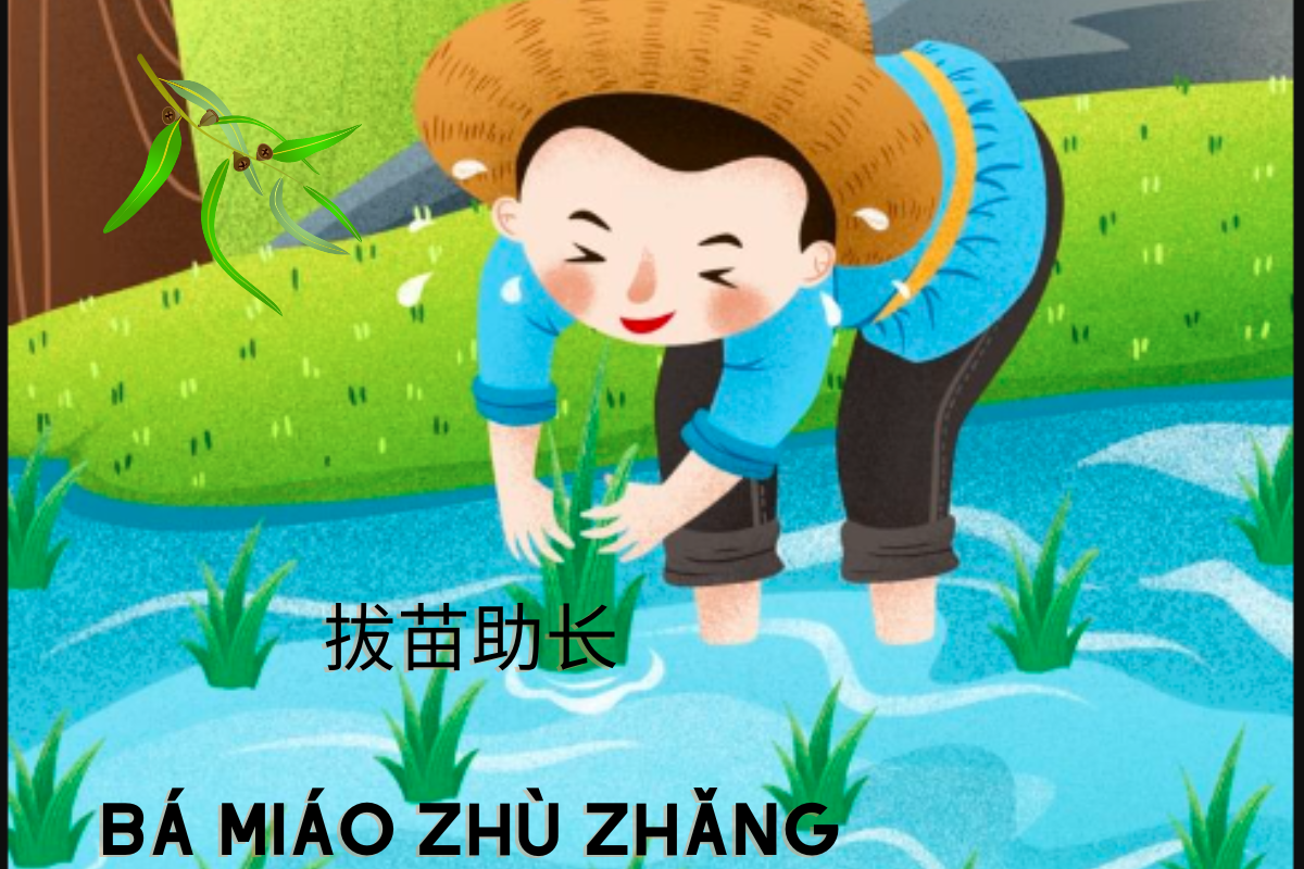 Learn Chinese Words: 拔苗助长 (bá miáo zhù zhǎng)