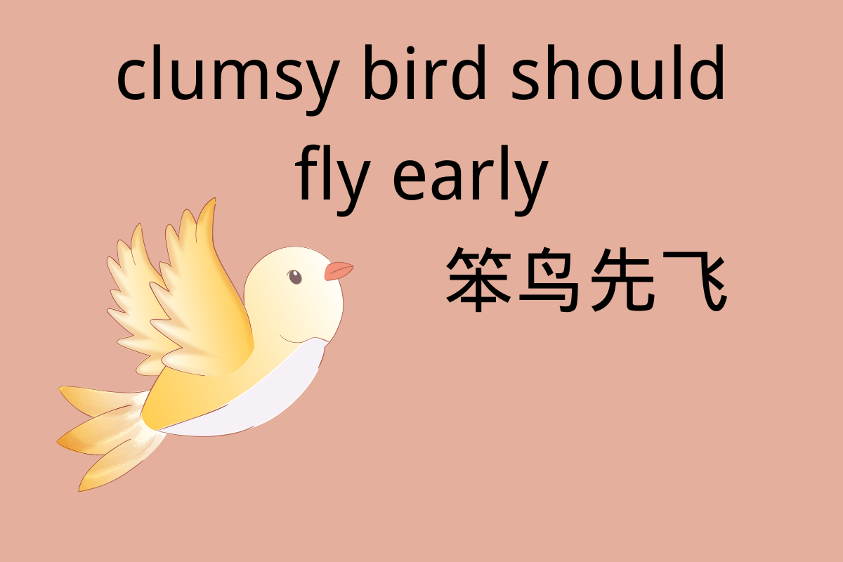 A Simple Soar for the Clumsy Bird-笨鸟先飞 (bèn niǎo xiān fēi)