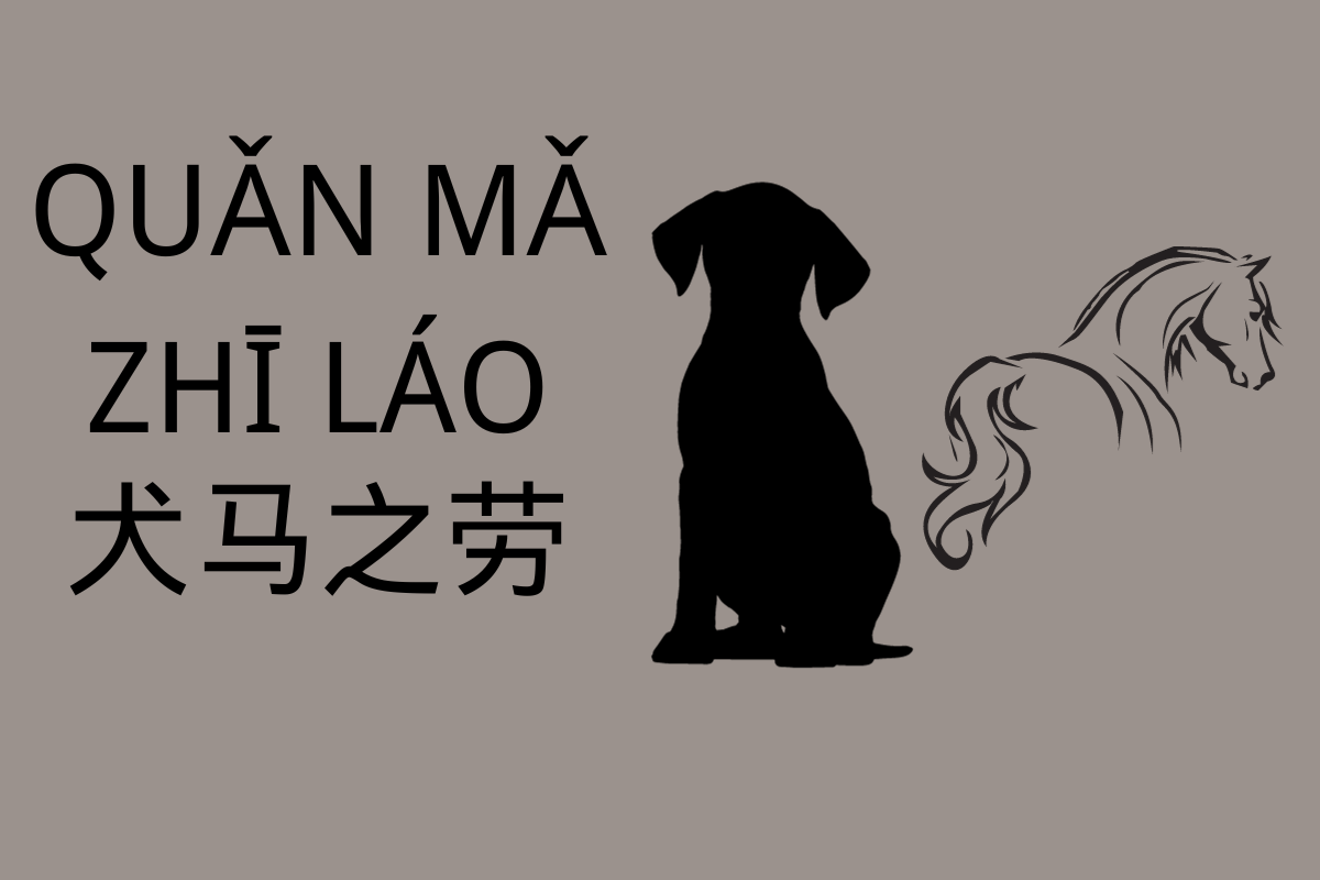 Service Beyond Measure