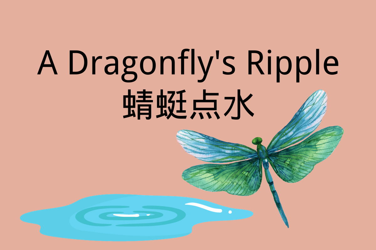 A Dragonfly's Ripple-蜻蜓点水 (qīng tíng diǎn shuǐ)