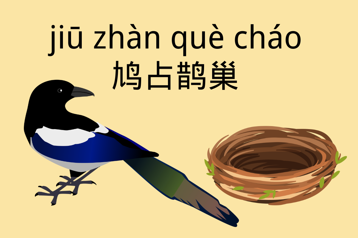 Magpie Nest, Dove Occupy-鸠占鹊巢 (jiū zhàn què cháo)