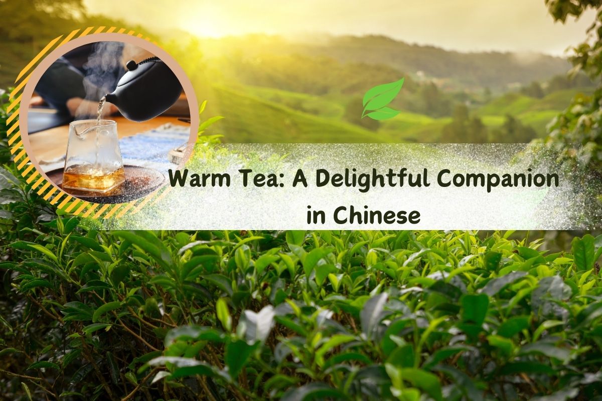 Warm Tea: A Delightful Companion in Chinese Autumn and Winter