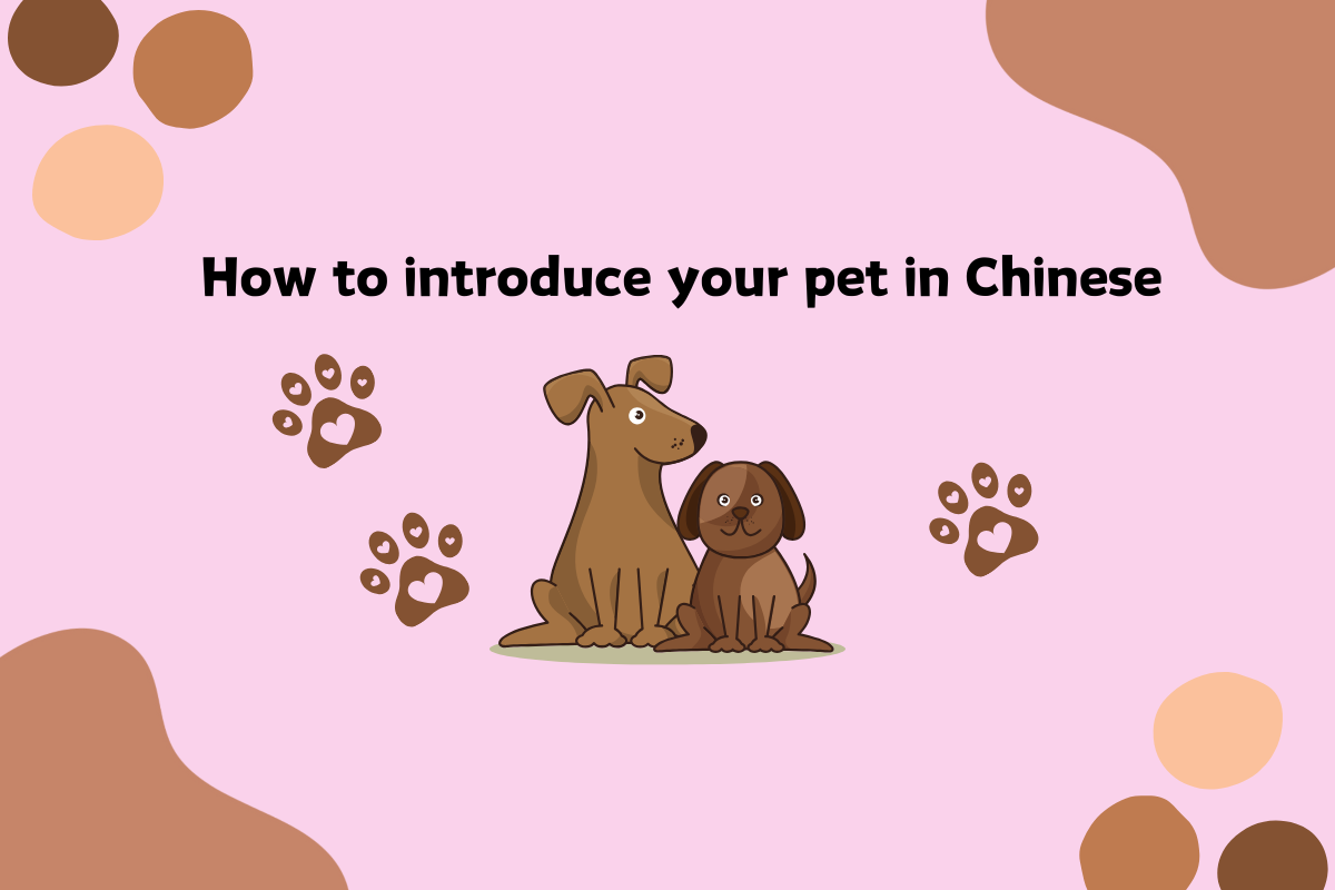 How to Introduce Your Pet in Chinese