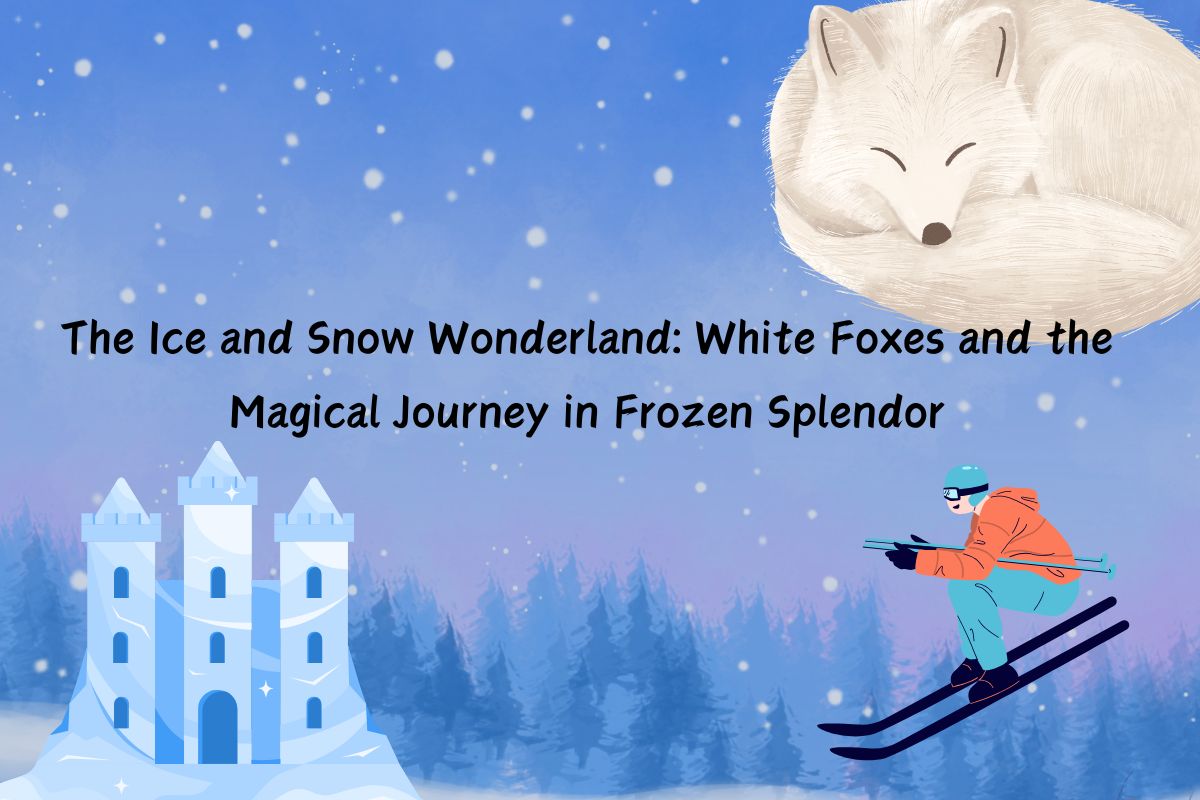 The Ice and Snow Wonderland: White Foxes and the Magical Journey in Frozen Splendor