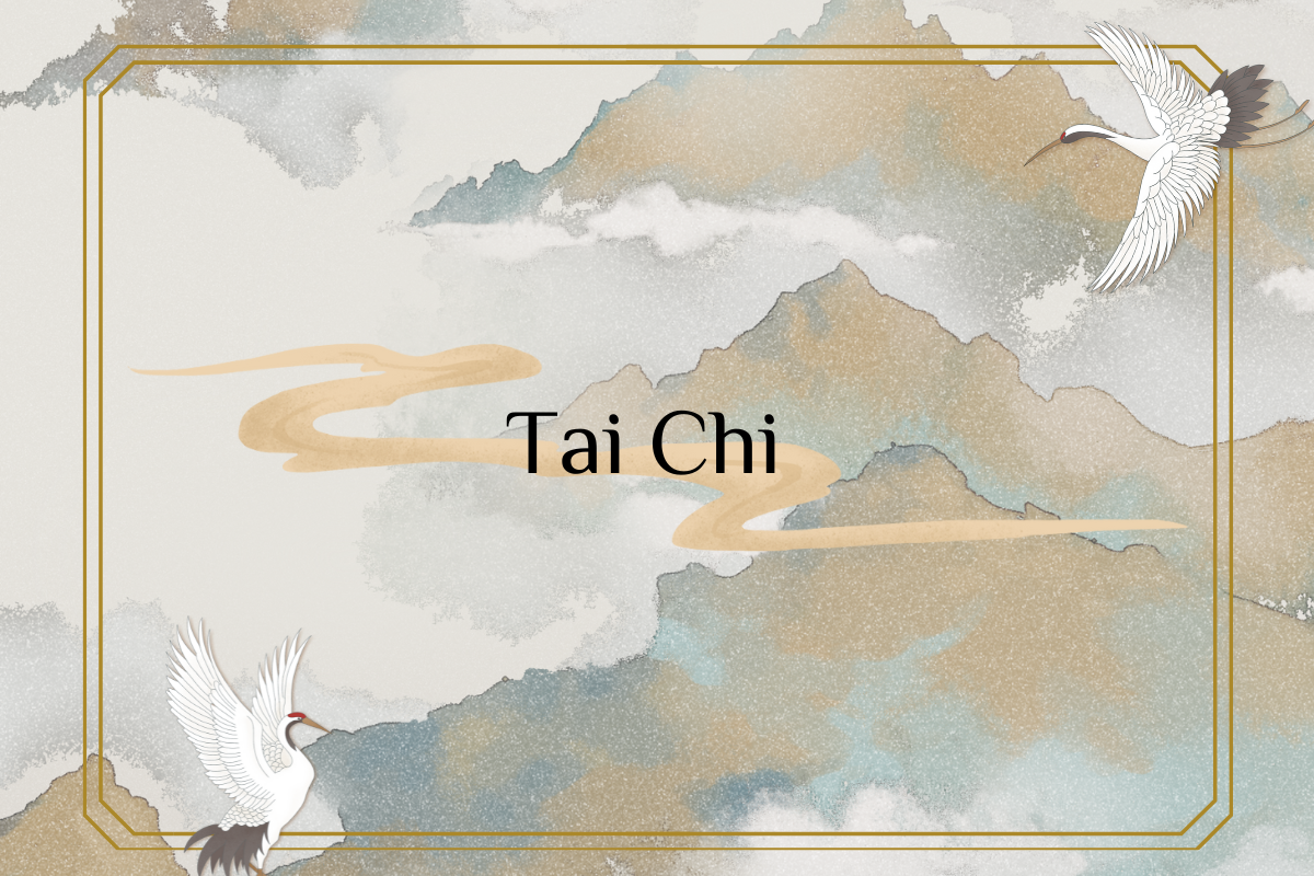 Tai Chi: A Beloved Practice Among Chinese Seniors