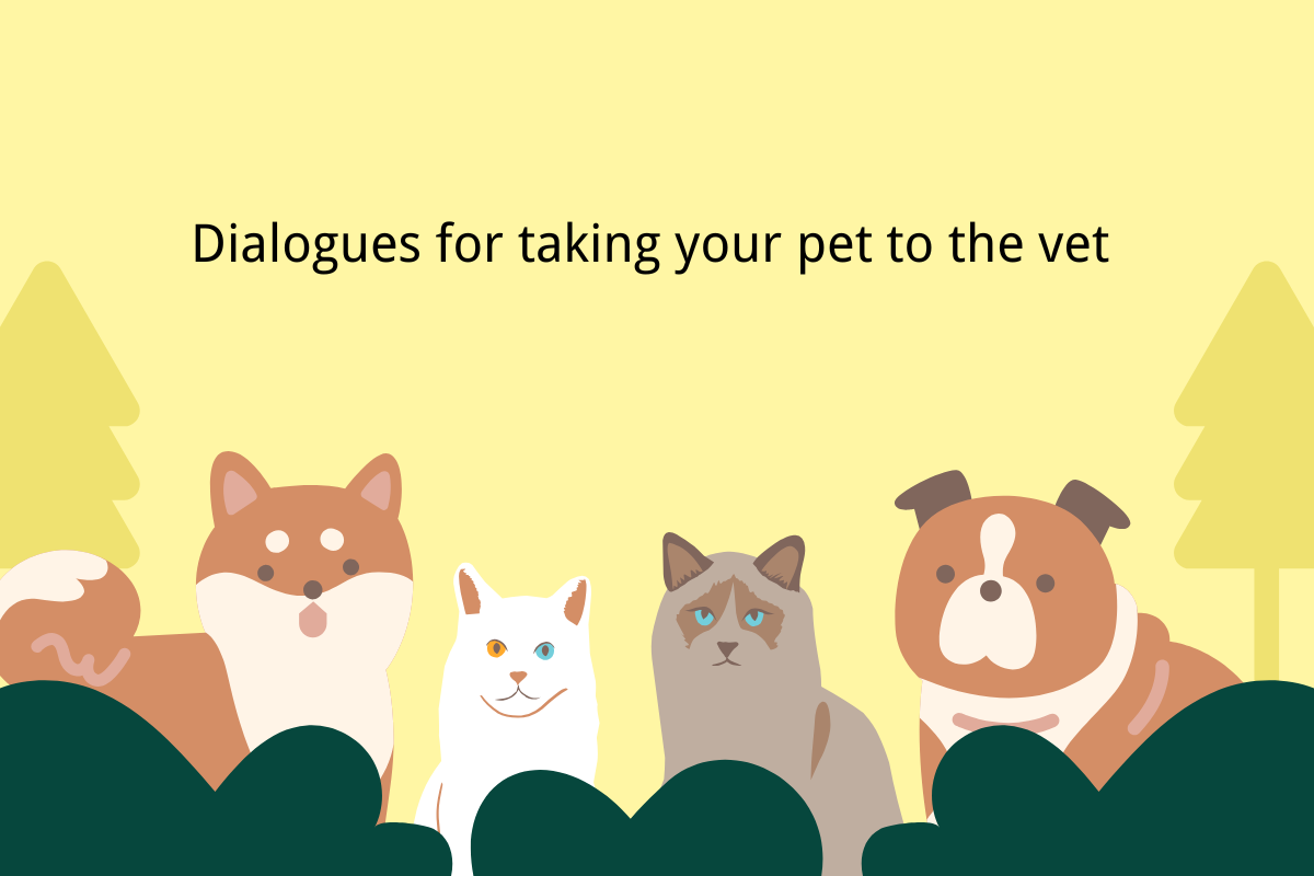 Dialogues For Taking Your Pet To the Vet