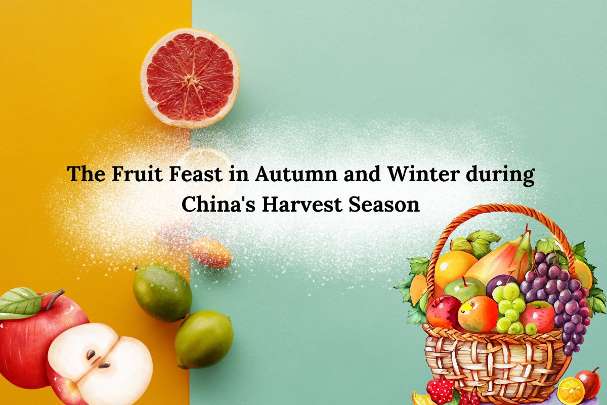 The Fruit Feast in Autumn and Winter during China's Harvest Season