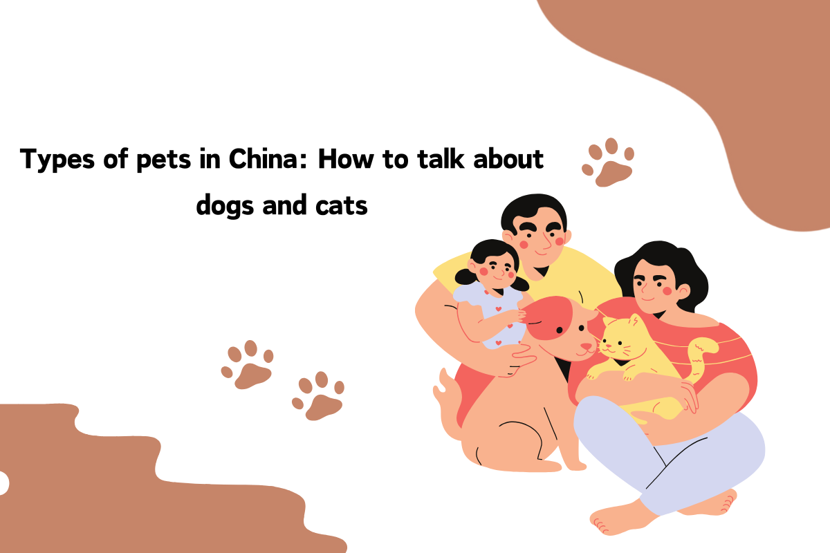 Types of Pets in China: How to Talk About Dogs and Cats