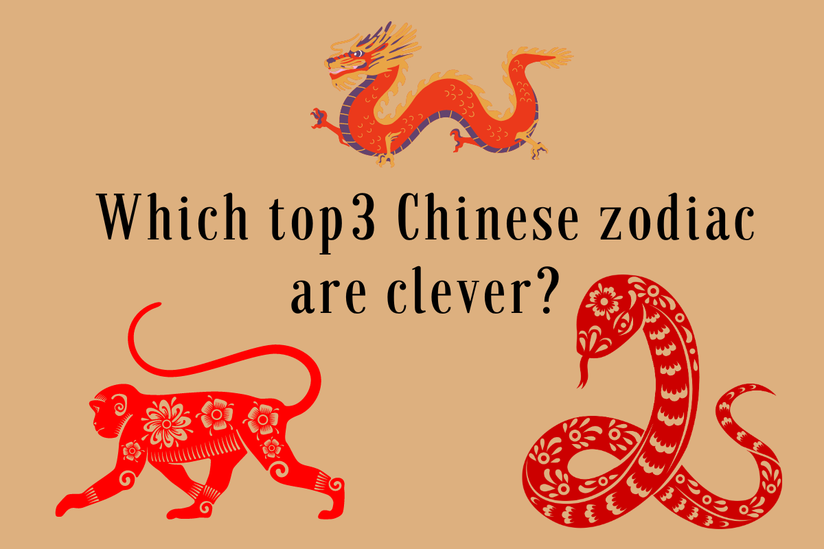 The Top 3 Most Clever Chinese Zodiac Signs