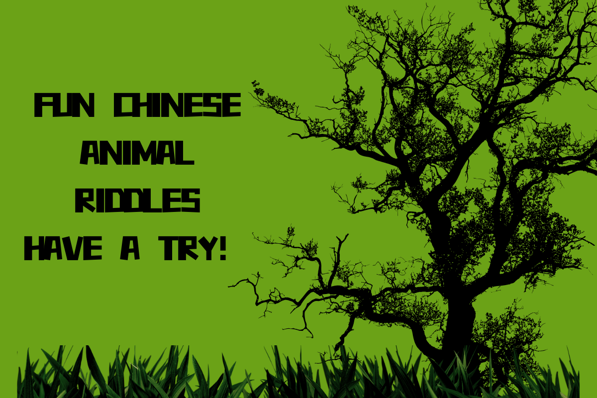 Small Animal Riddles, Can You Guess It Right? Part53