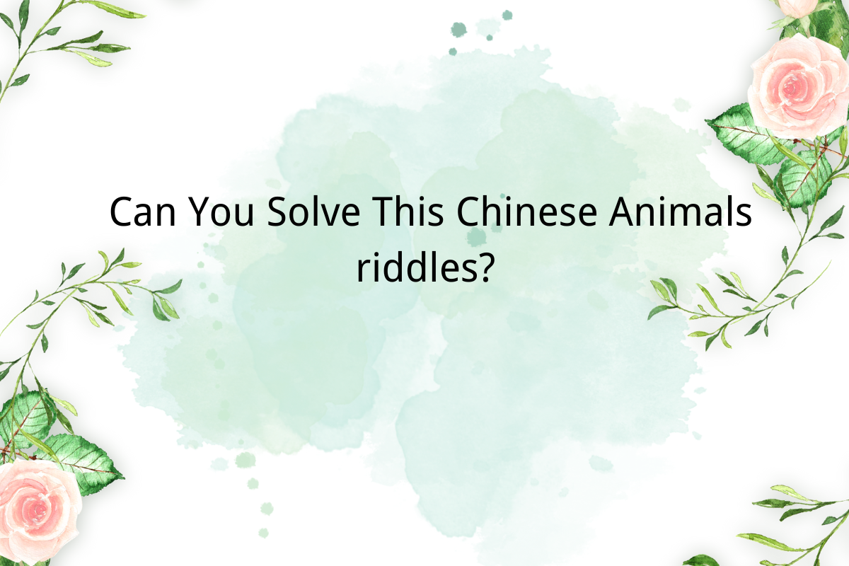 Small Animal Riddles, Can You Guess it Right? Part63