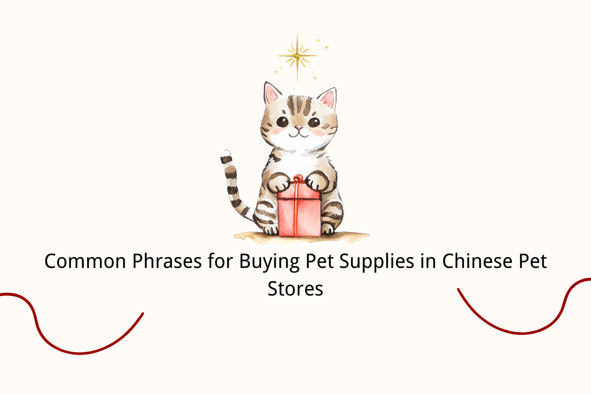 Common Phrases for Buying Pet Supplies in Chinese Pet Stores