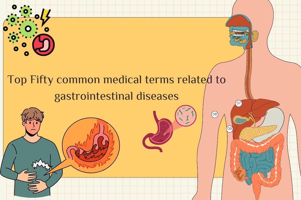 Top Fifty common medical terms related to gastrointestinal diseases