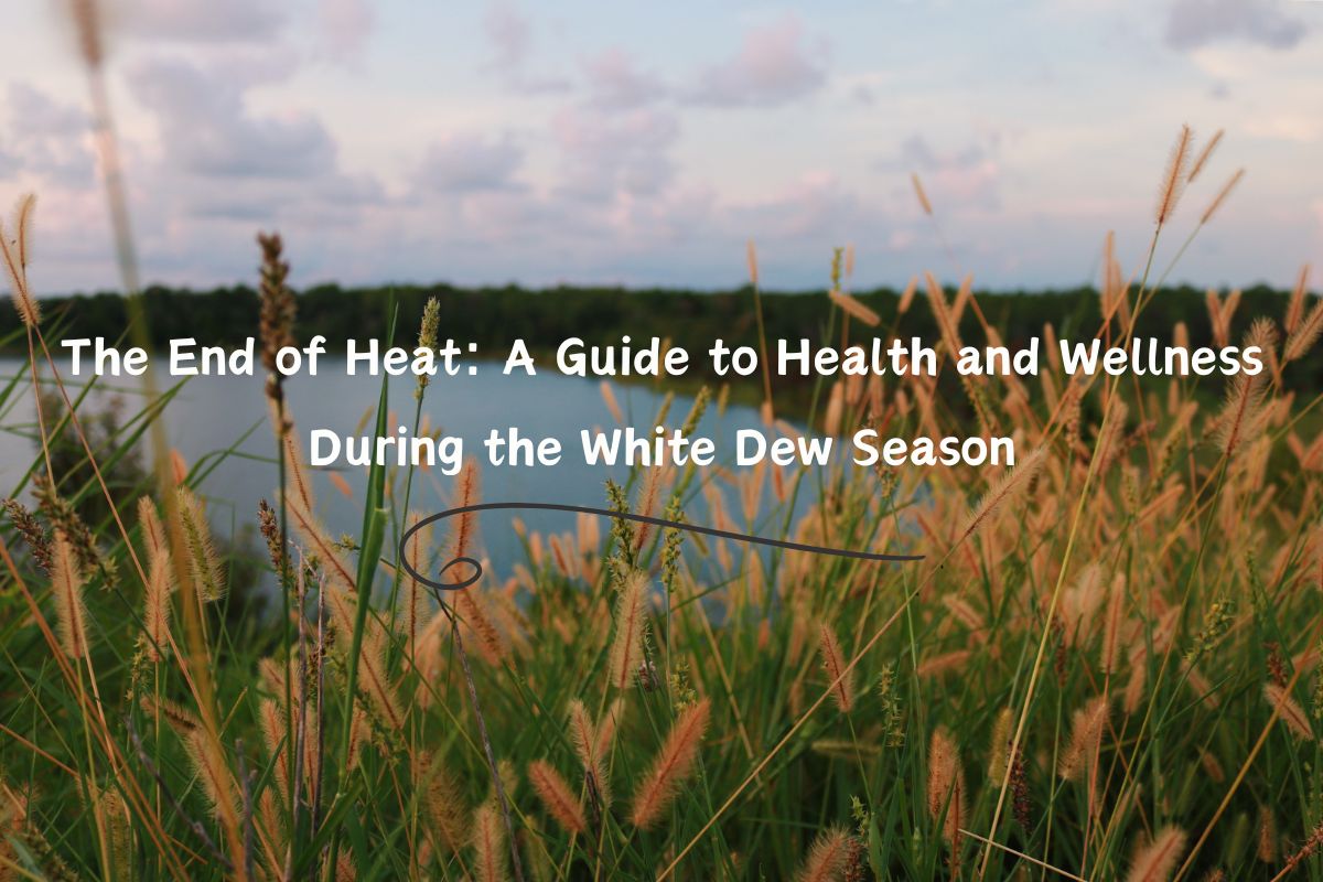 The End of Heat: A Guide to Health and Wellness During the White Dew Season