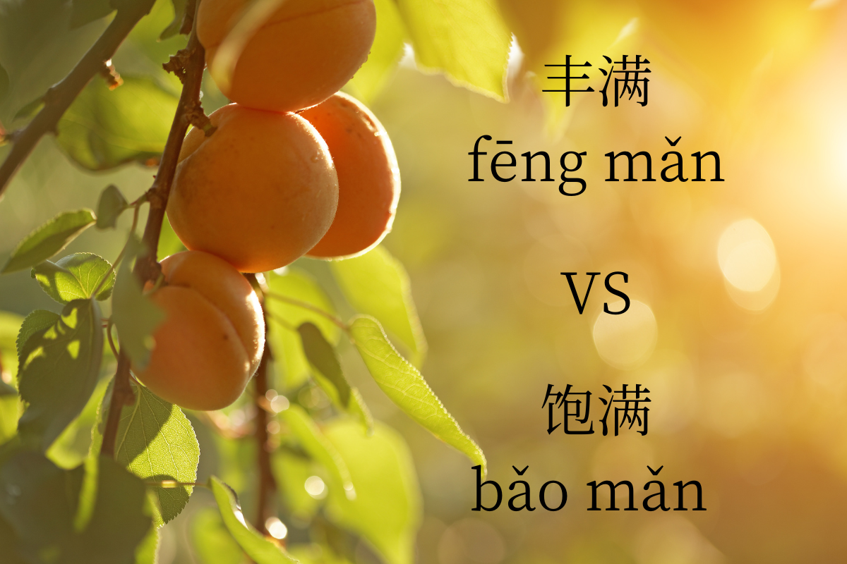HSK Words: 丰满 (fēng mǎn) VS 饱满 (bǎo mǎn)