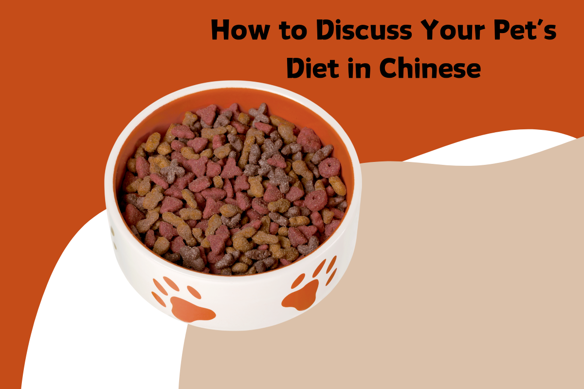 How to Discuss Your Pet’s Diet in Chinese