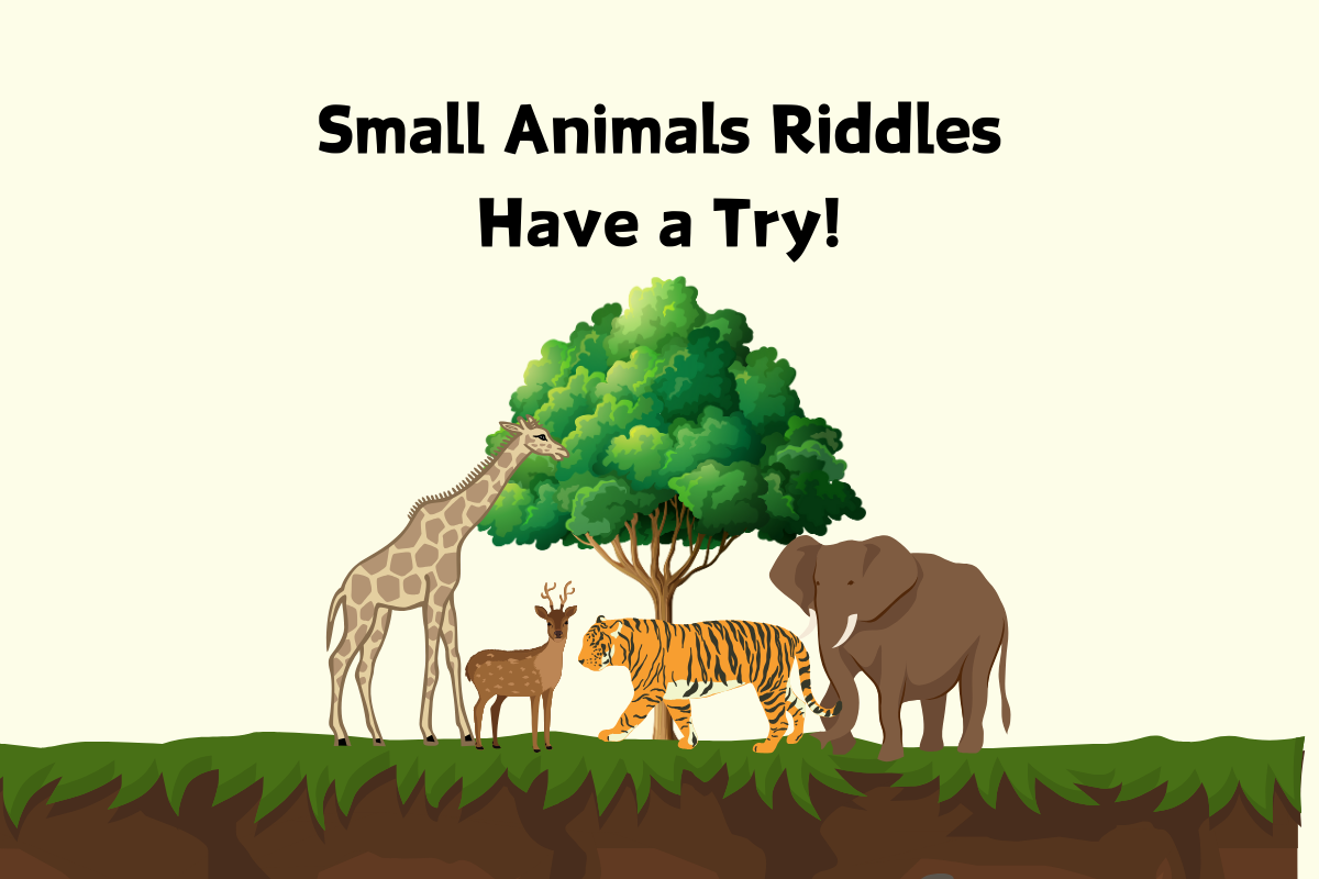 Small Animal Riddles, Can You Guess It Right? Part33