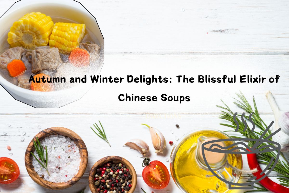 Autumn and Winter Delights: The Blissful Elixir of Chinese Soups