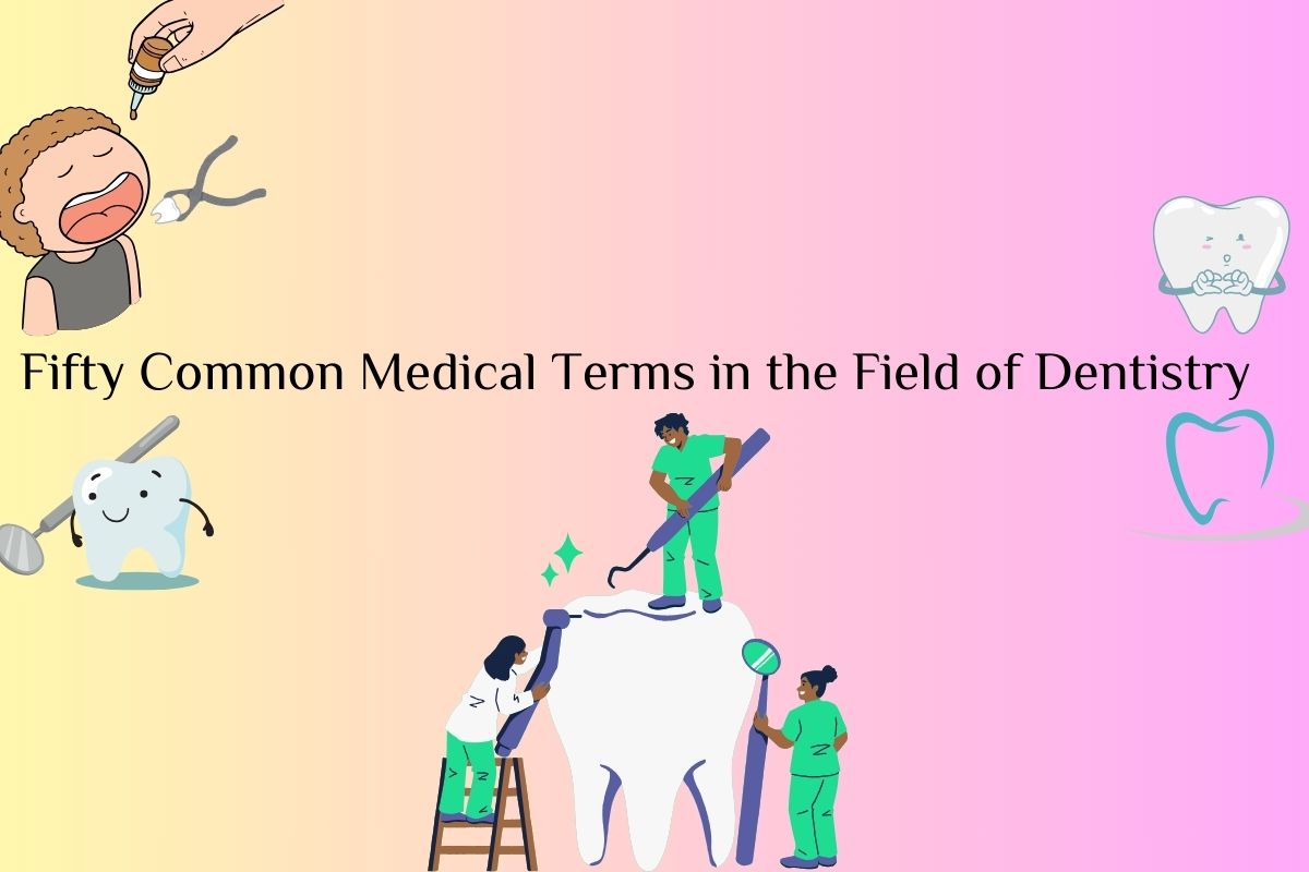 Top Fifty Common Medical Terms in the Field of Dentistry