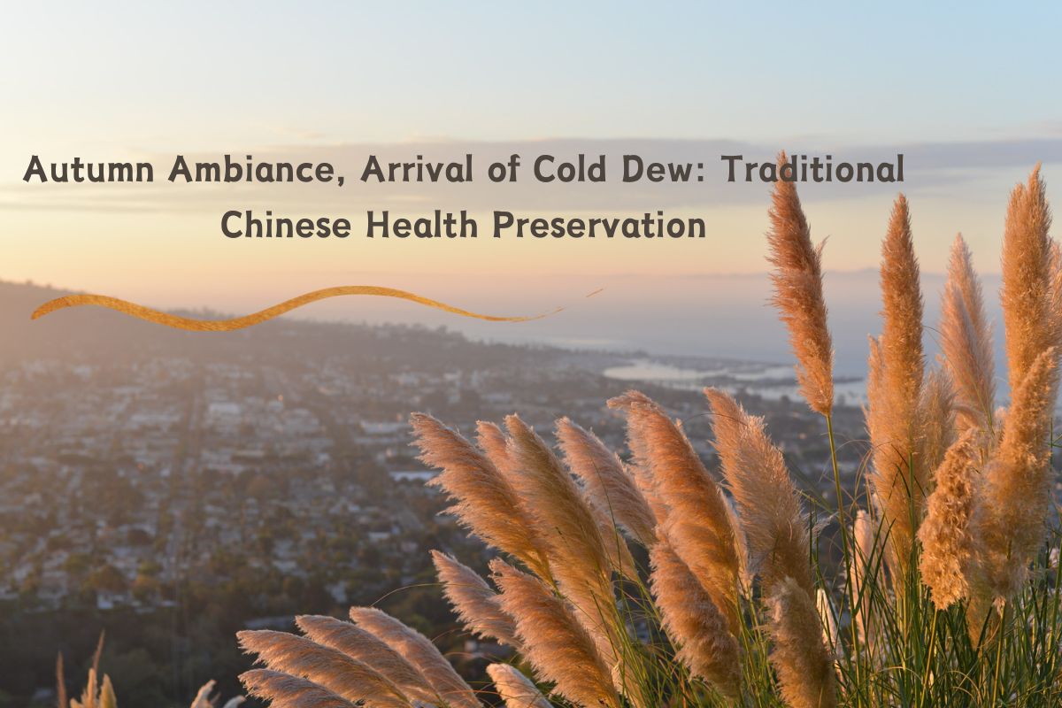 Autumn Ambiance, Arrival of Cold Dew: Traditional Chinese Health Preservation