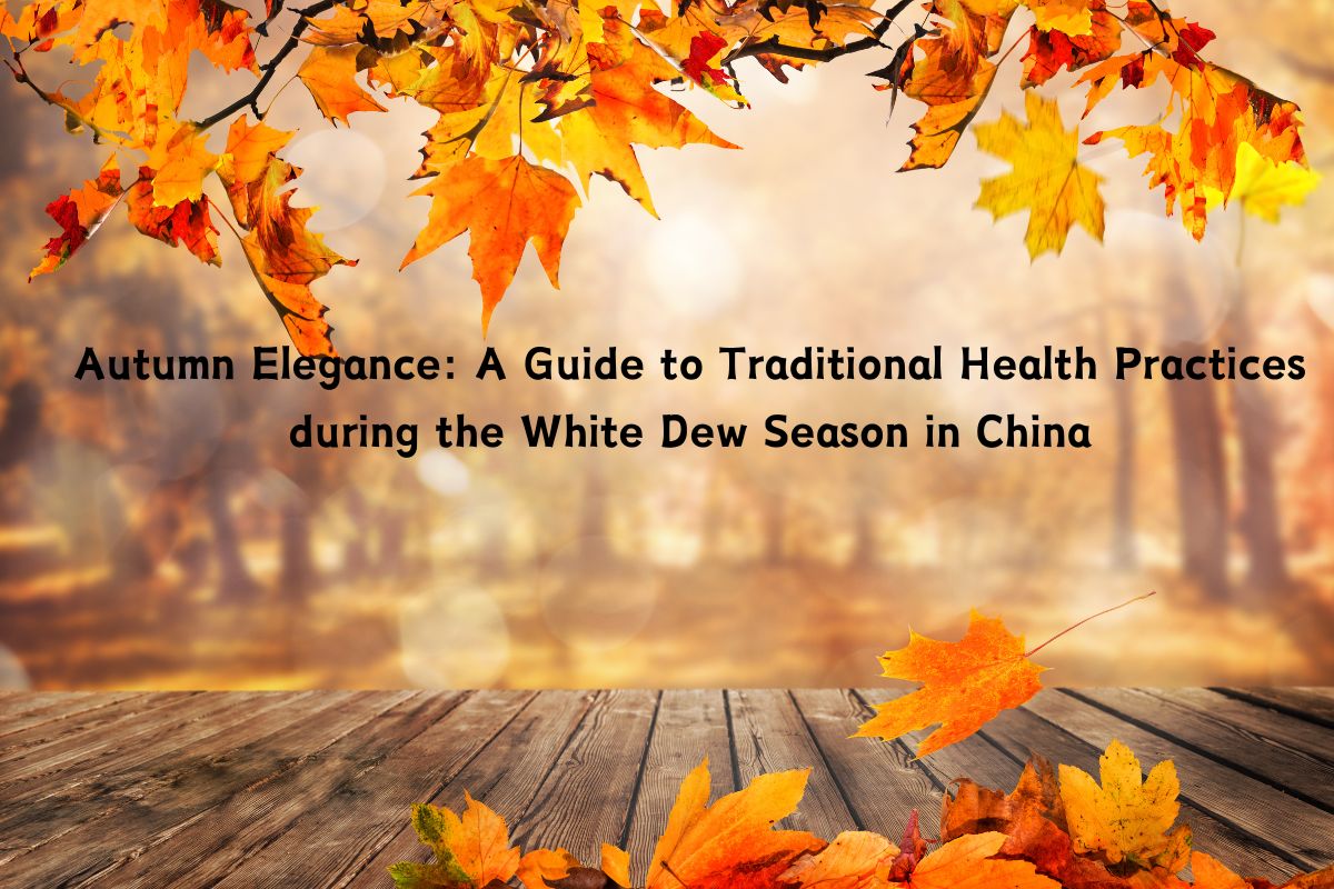 Autumn Elegance: A Guide to Traditional Health Practices during the White Dew Season in China