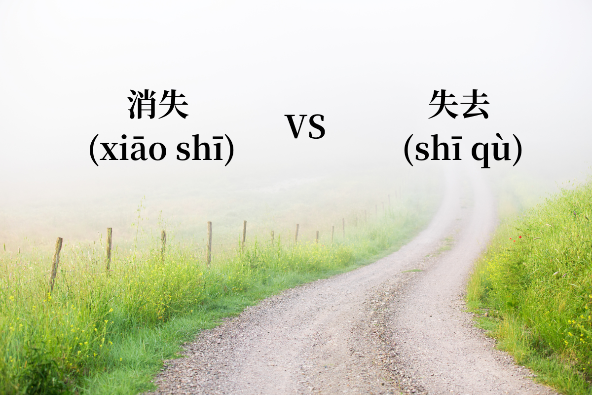 HSK 5 Words: 消失 (xiāo shī) VS 失去 (shī qù)