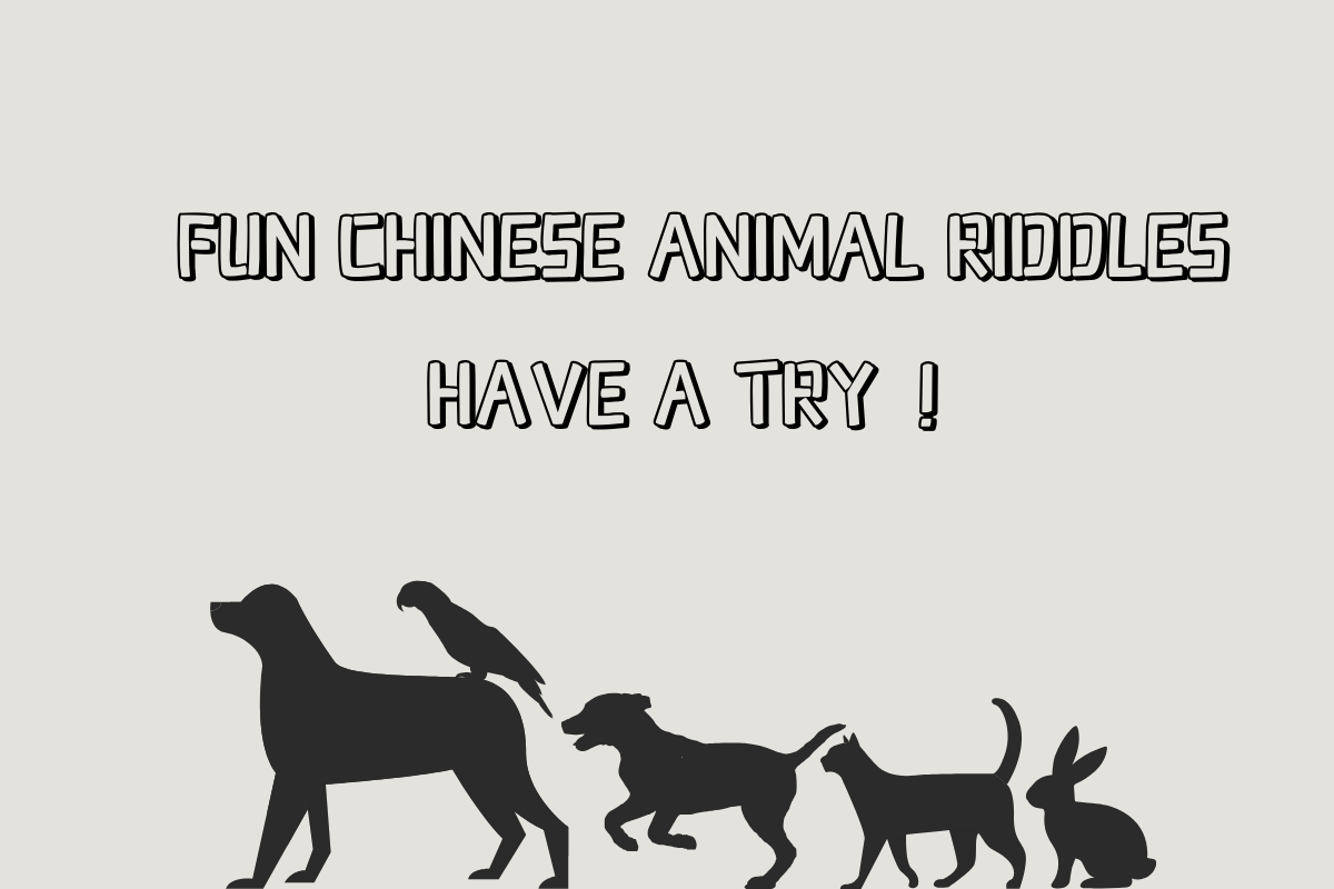 Small Animal Riddles, Can You Guess It Right? Part50