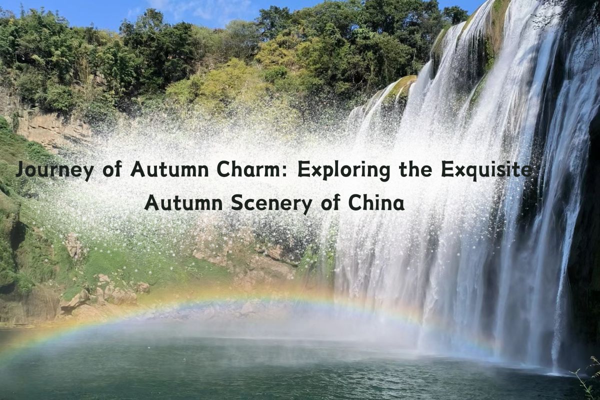 Journey of Autumn Charm: Exploring the Exquisite Autumn Scenery of China