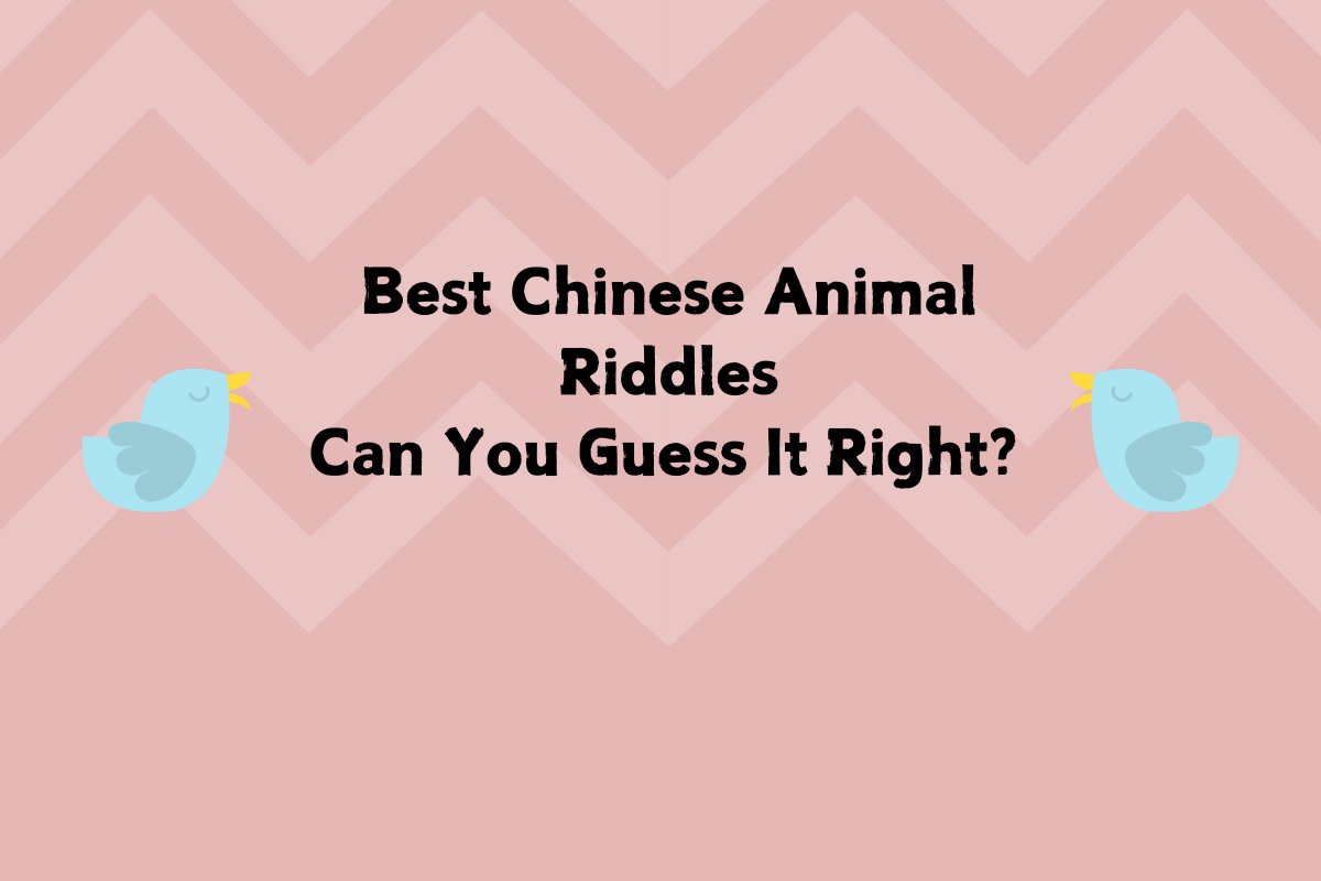 Small Animal Riddles, Can You Guess It Right? Part56