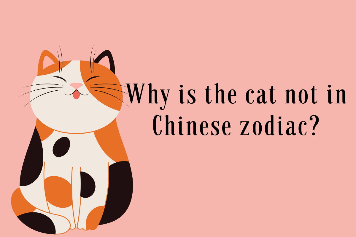 Why is the cat not in Chinese zodiac?