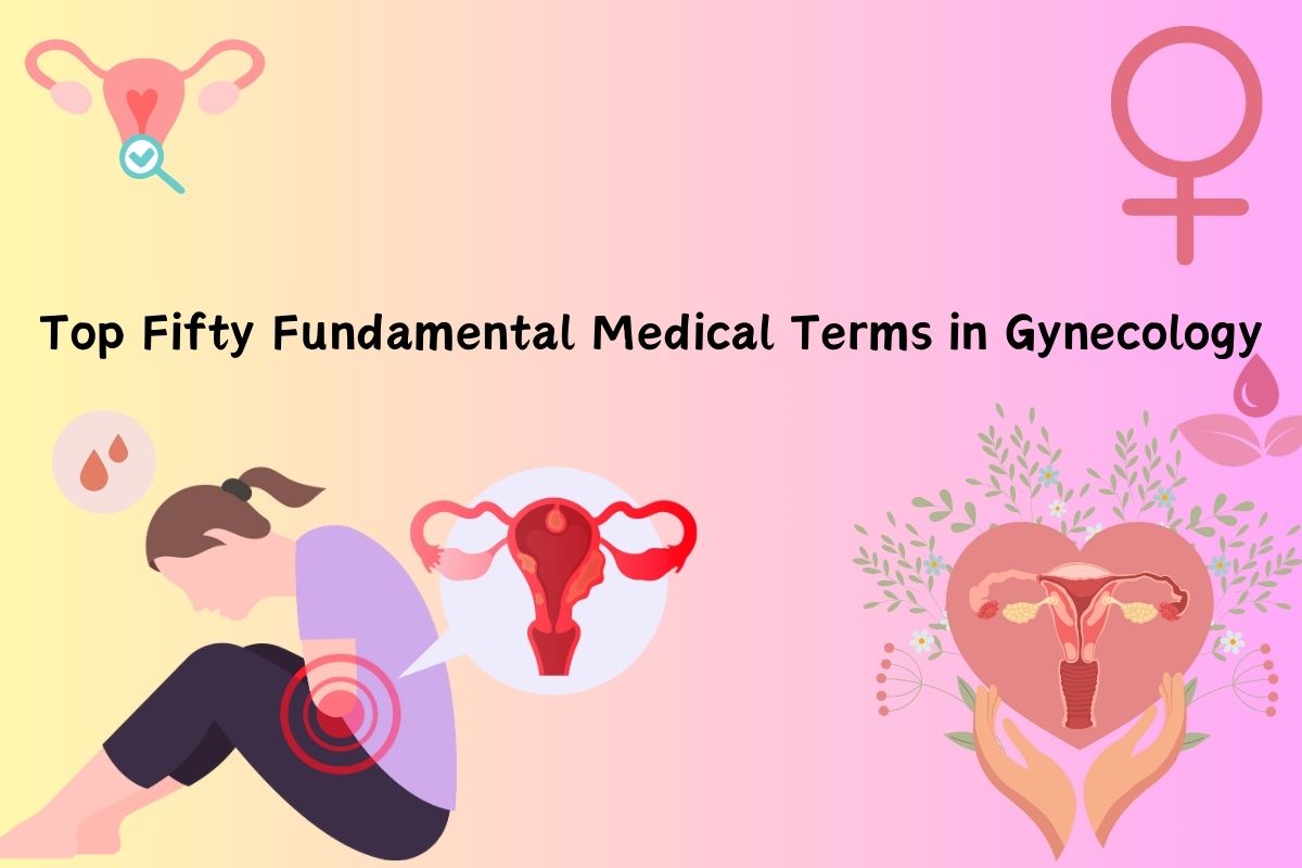 Top Fifty Fundamental Medical Terms in Gynecology