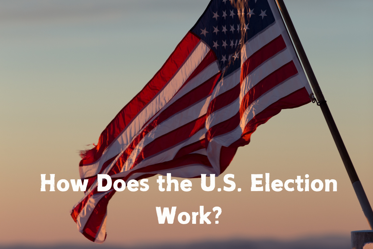 How Does the U.S. Election Work?