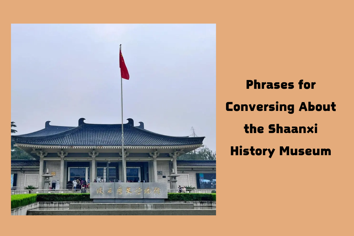 Phrases for Conversing About the Shaanxi History Museum