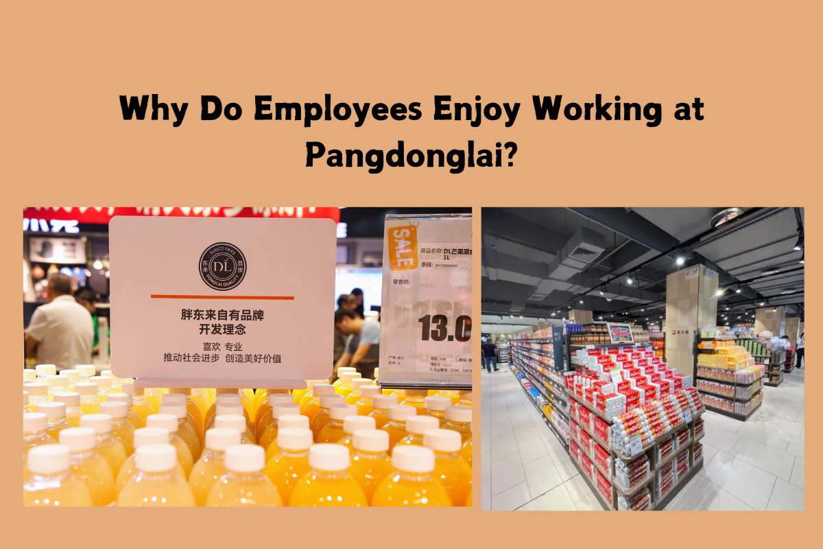 Why Do Employees Enjoy Working at Pangdonglai?