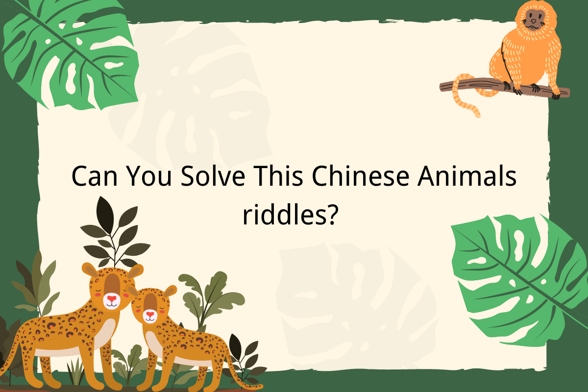 Small Animal Riddles, Can You Guess It Right? Part61