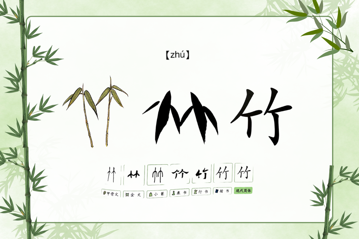 Hanzi Alive!(10)