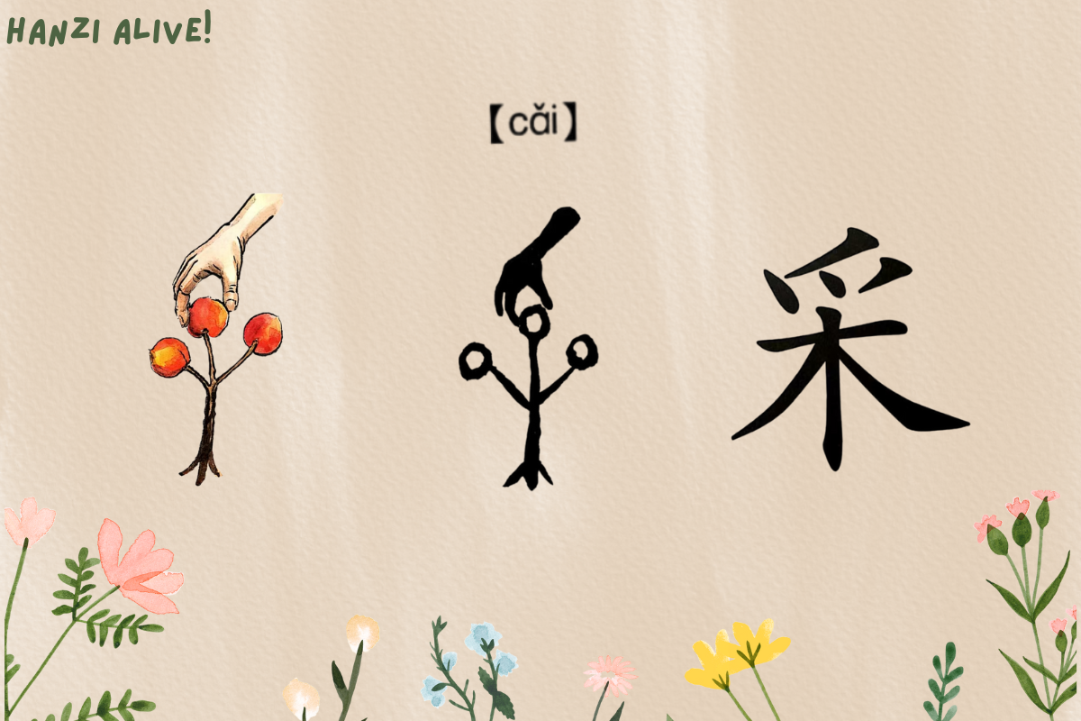Hanzi Alive!(9)