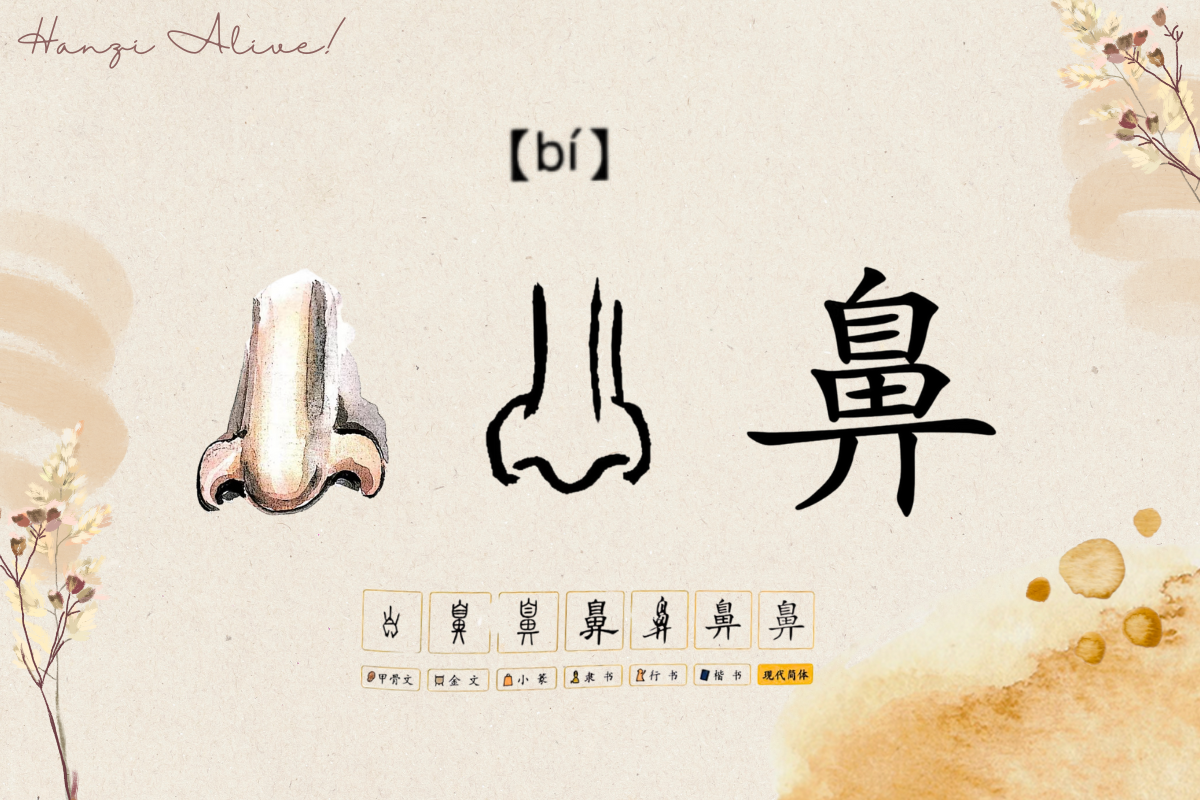 Hanzi Alive!(14)