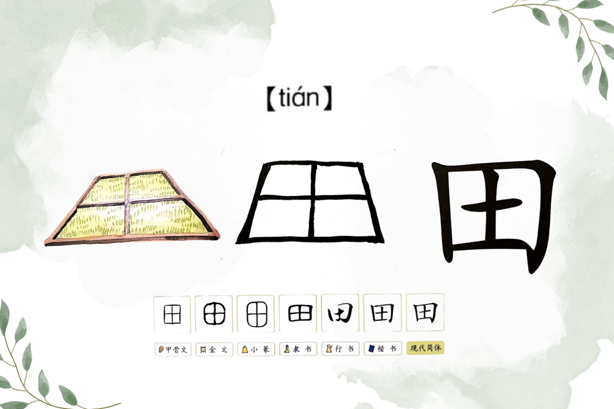 Hanzi Alive!(4)