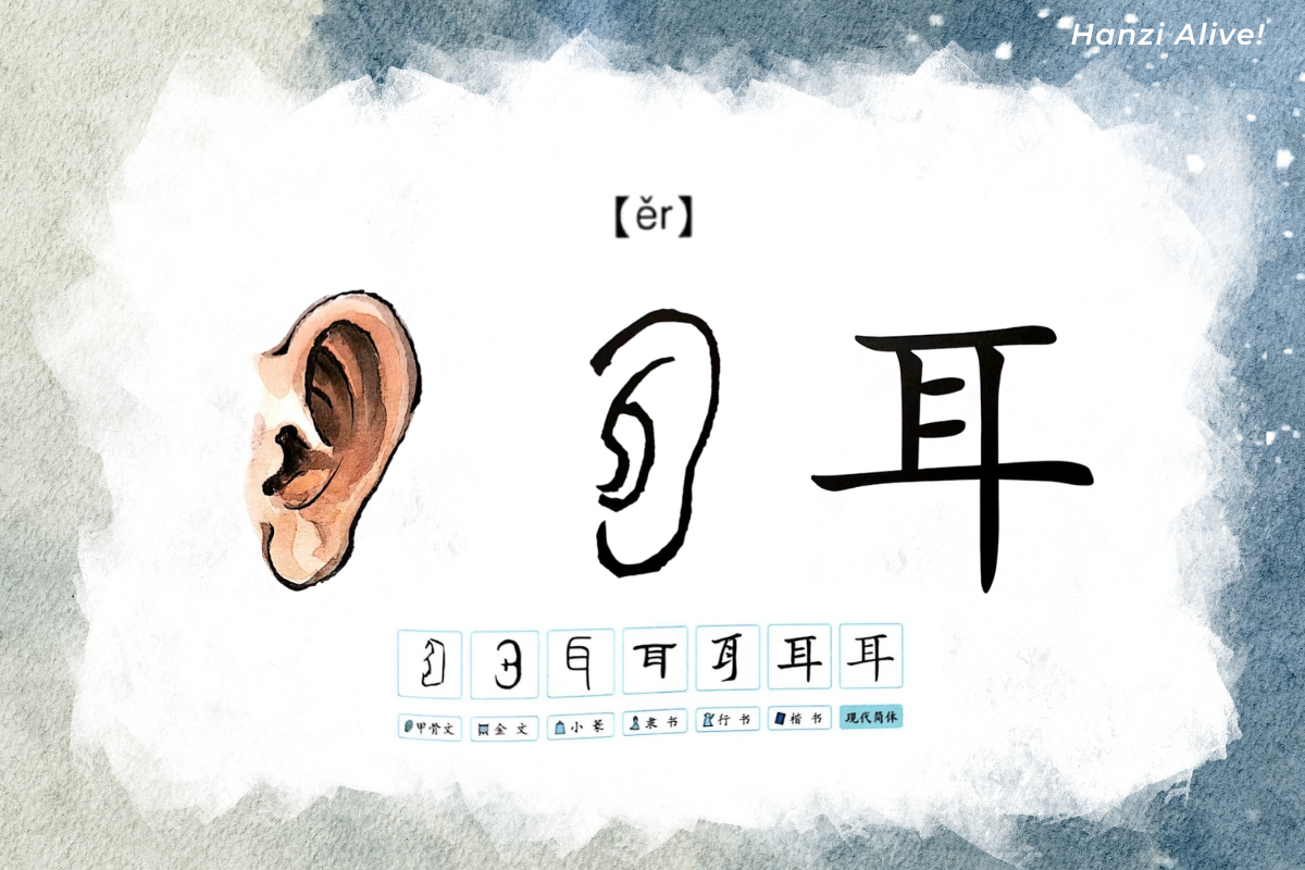 Hanzi Alive!(13)
