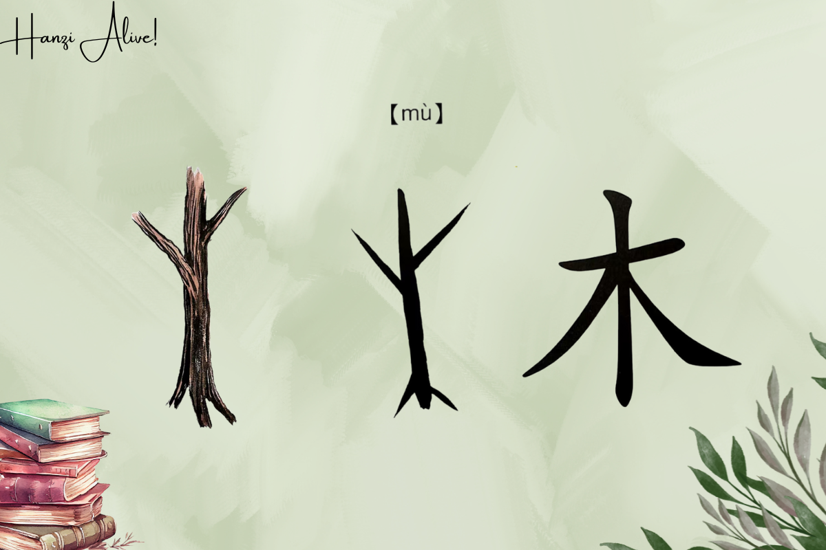 Hanzi Alive!(8)